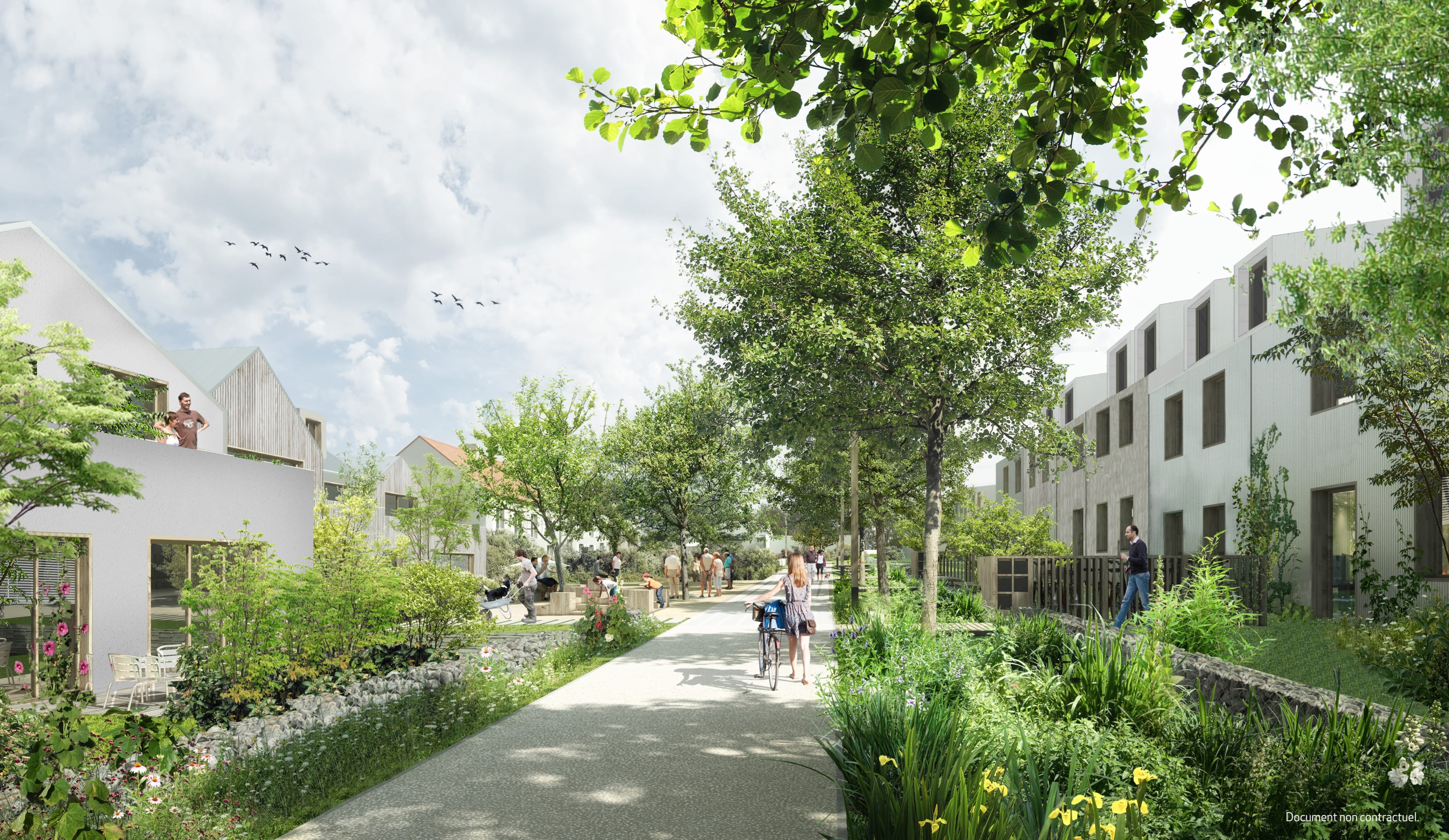 Programme neuf Noisy-le-Grand ; Villas Urbaines